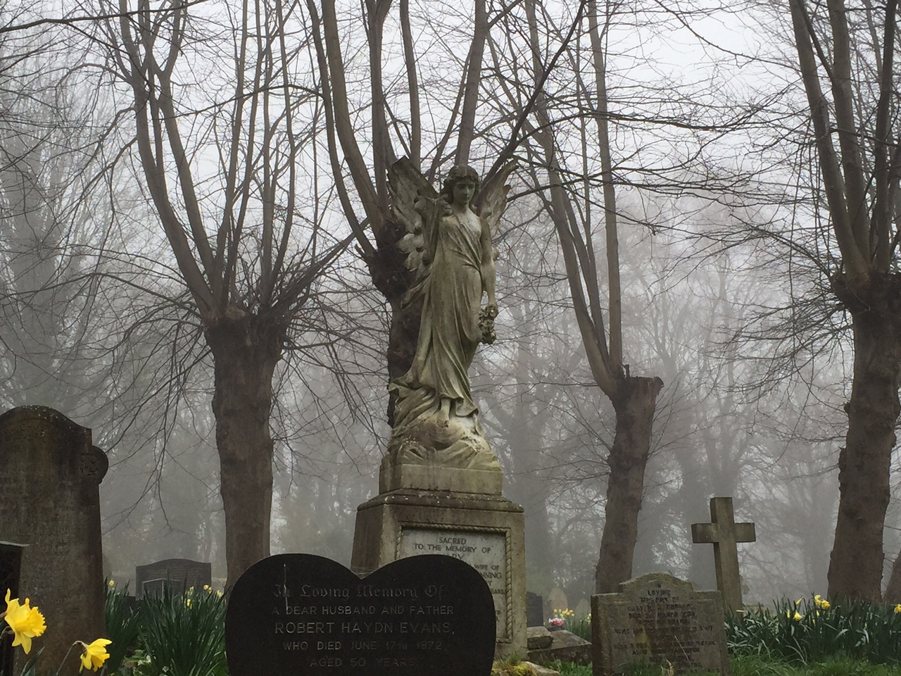 Angel in the morning fog