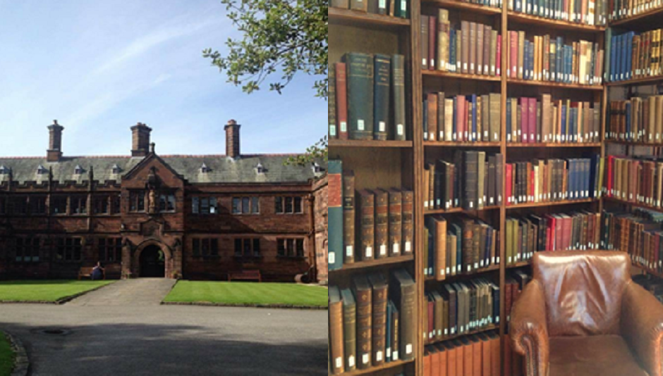 Work Experience in Marketing - Niamh Yale-Helms