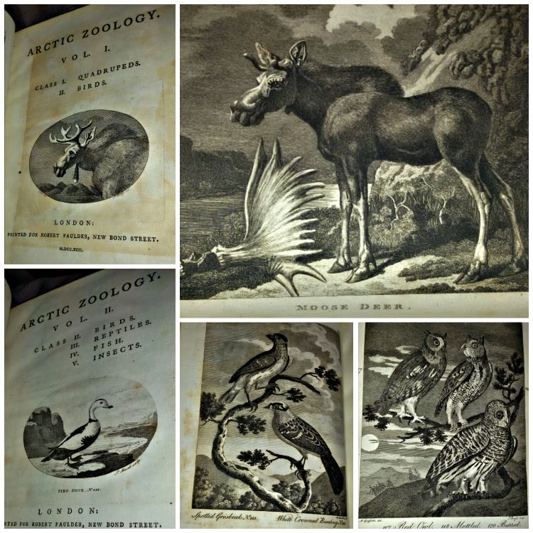 Thomas Pennant: Welsh Naturalist, Explorer, another man before his time! 