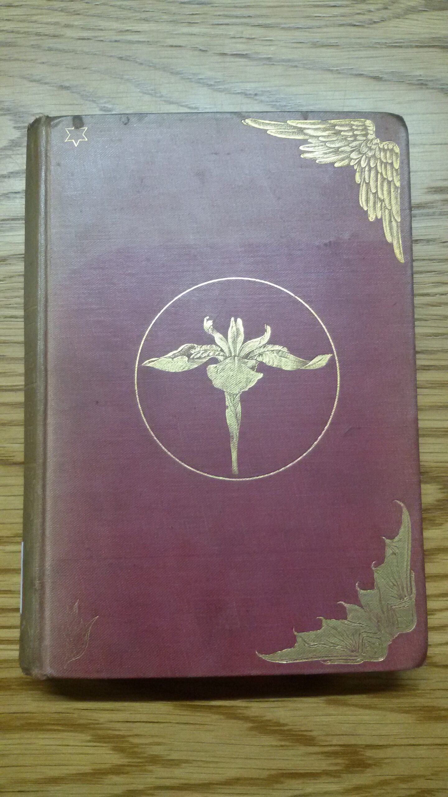 ‘Read Rossetti’s Shadow of Dante’: William Gladstone’s diary reference to Maria Francesca Rossetti