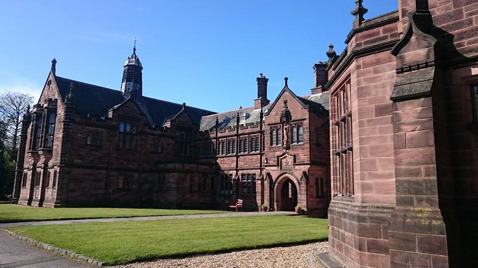 Work Experience by Mia Mori