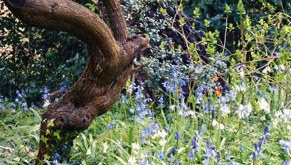 It’s bloomin’ spring!