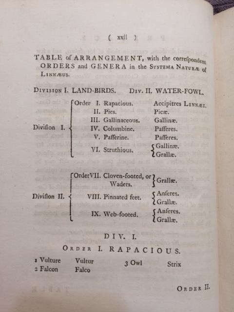 World Curlew Day: Books, birds, and St. Beuno 