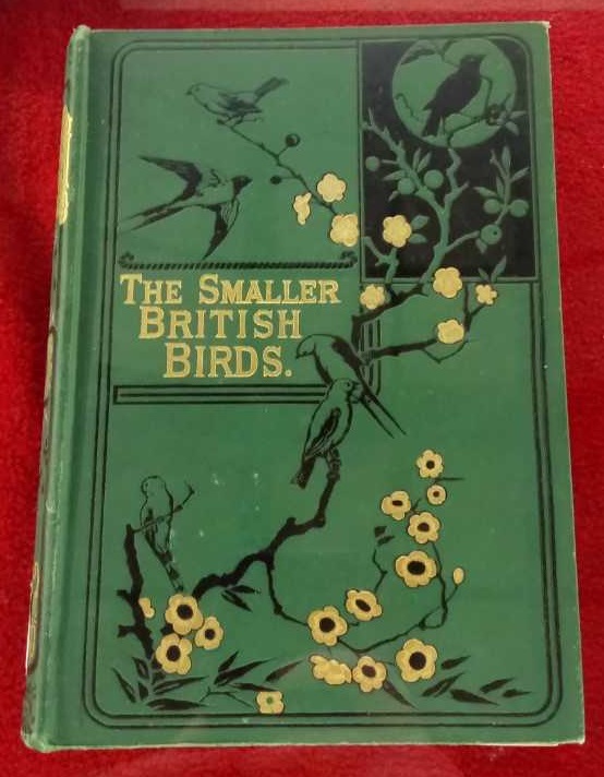 It’s bloomin’ spring!