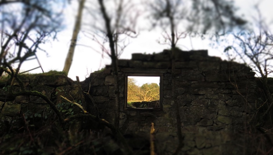 Polly Atkin on her February at Gladstone’s Library