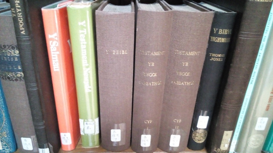 Edrychiad i fewn yr gasgliad Cymraeg / Looking into our Welsh collection