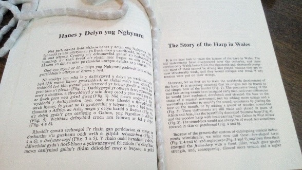 Edrychiad i fewn yr gasgliad Cymraeg / Looking into our Welsh collection