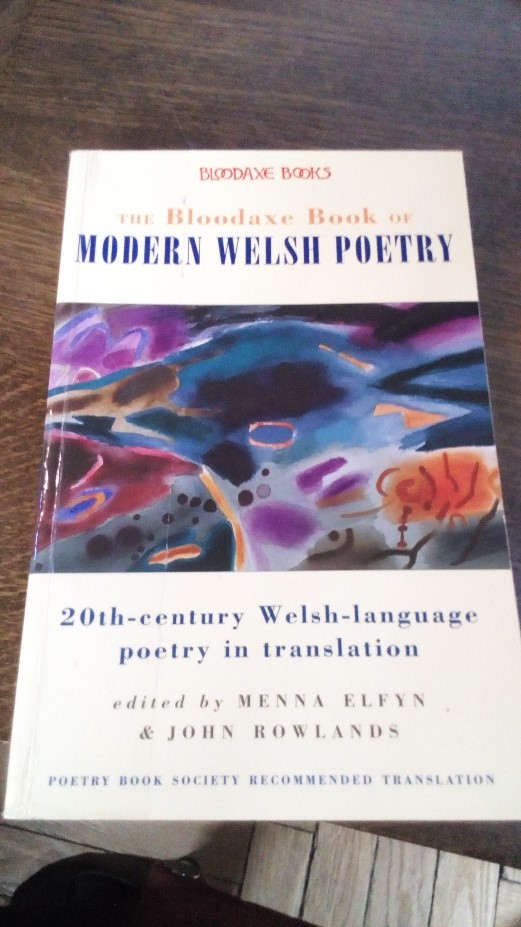 Edrychiad i fewn yr gasgliad Cymraeg / Looking into our Welsh collection