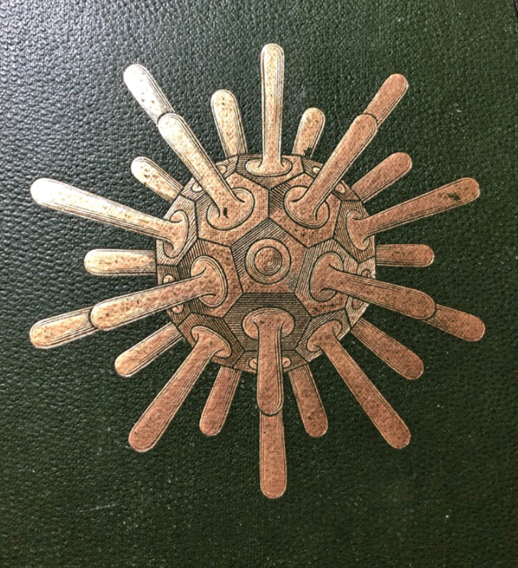 NOT researching in Gladstone’s Library...