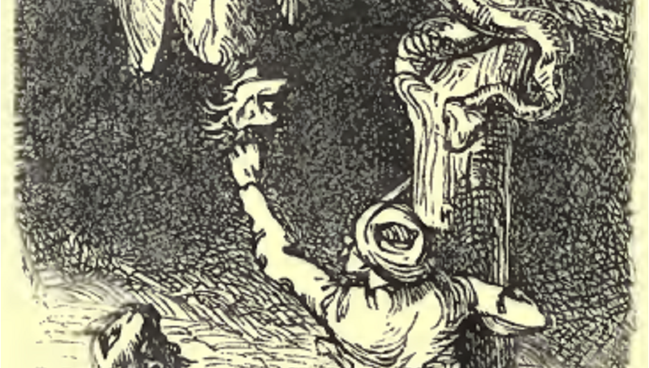 Tales of the supernatural: the library’s hidden creature features!