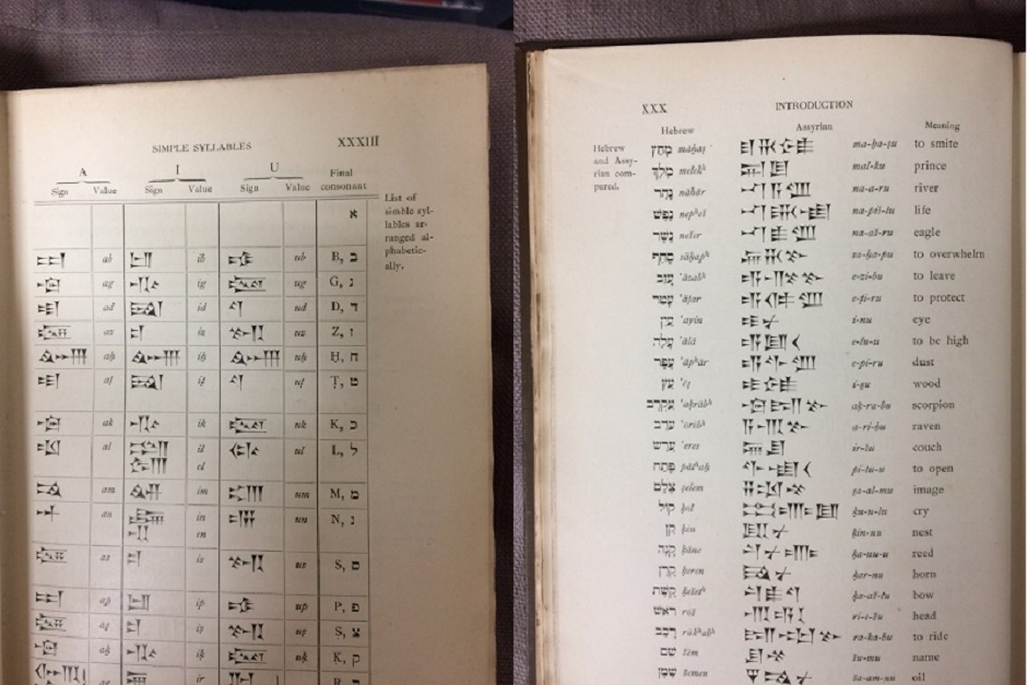 Collection Spotlight: Beginning with A…