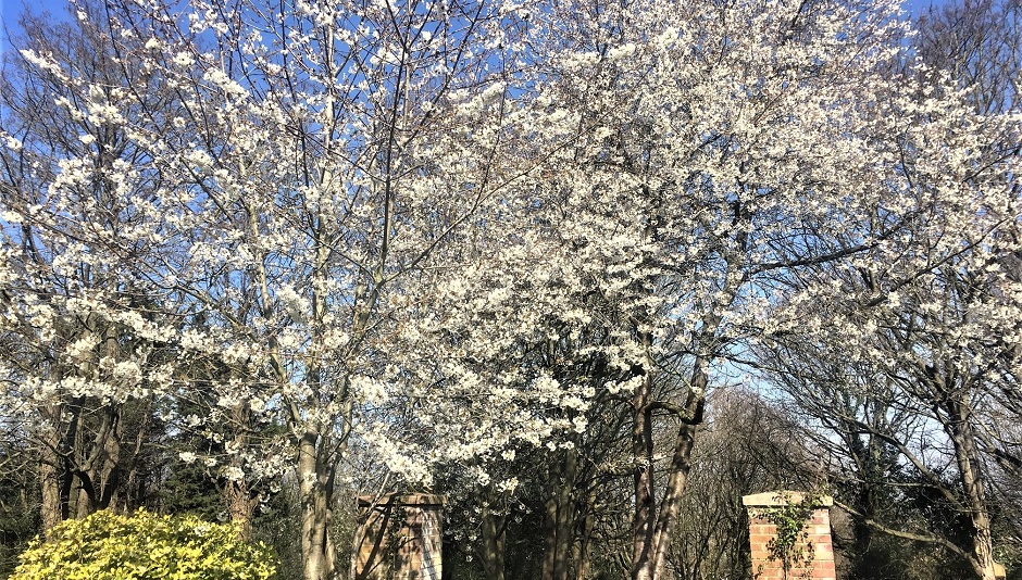 Spring has sprung at Gladstone’s Library and Easter is not far behind it!