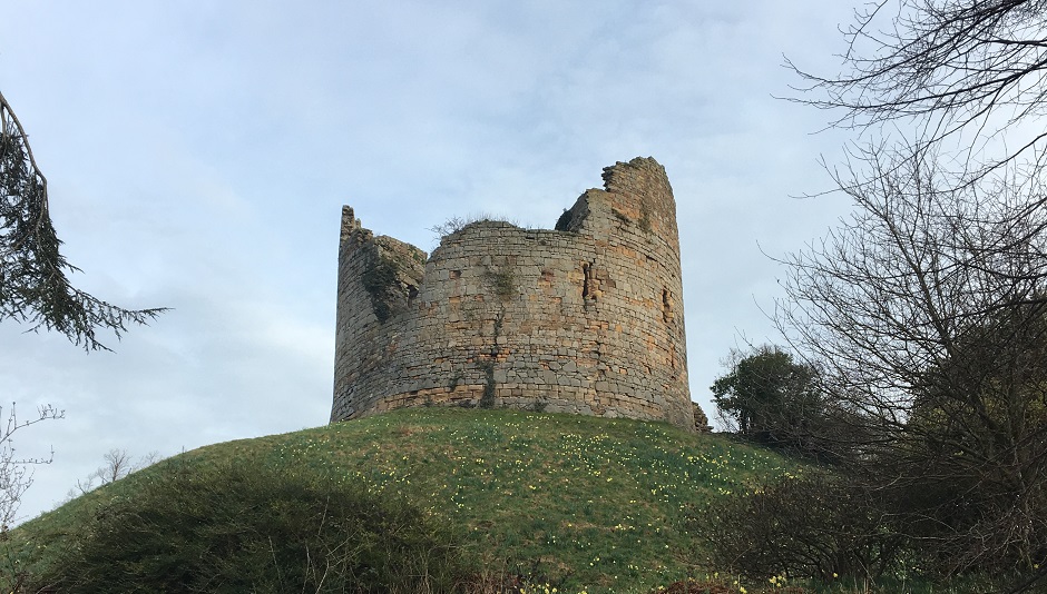 Susanna Forrest on walking