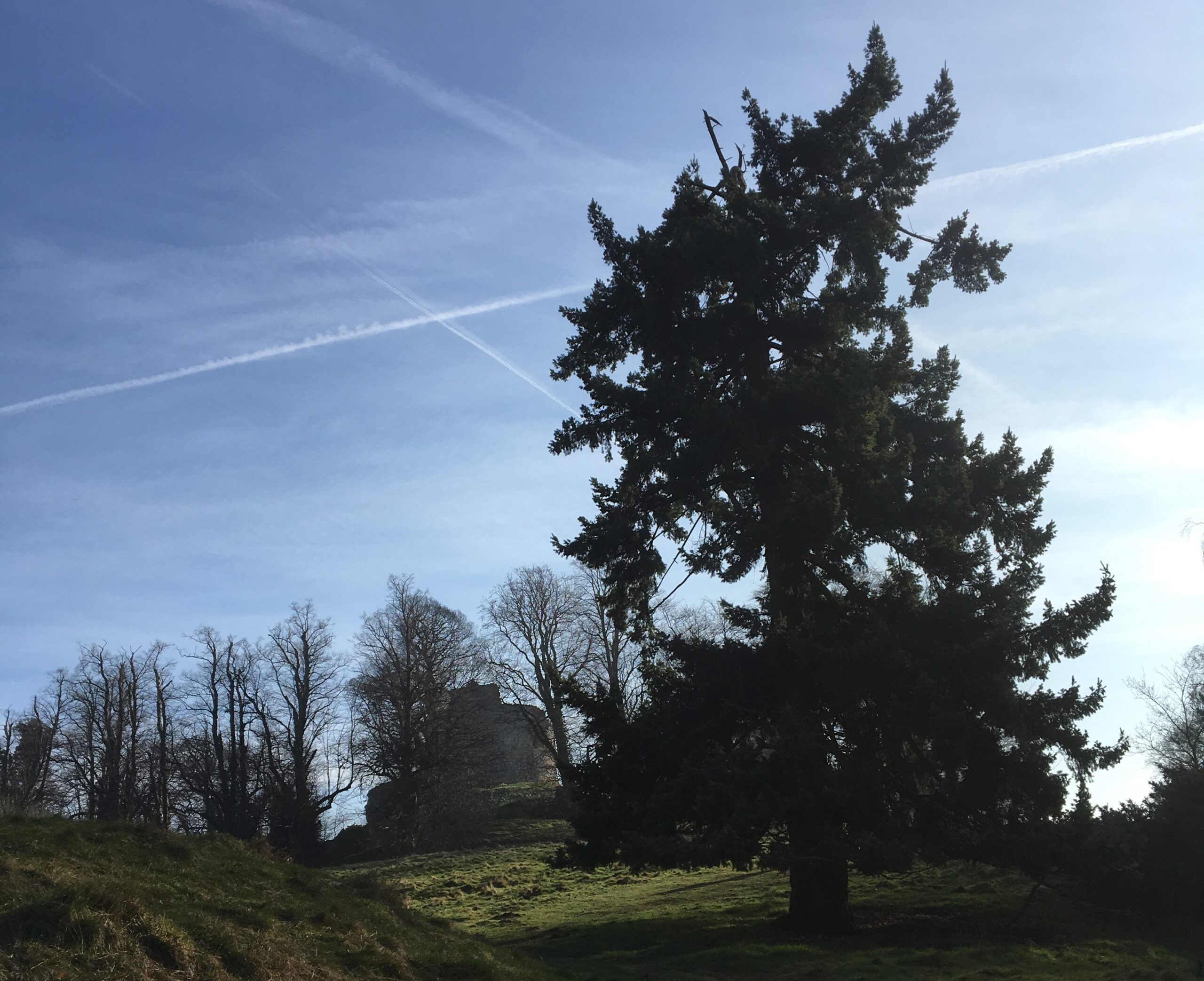 Susanna Forrest on walking