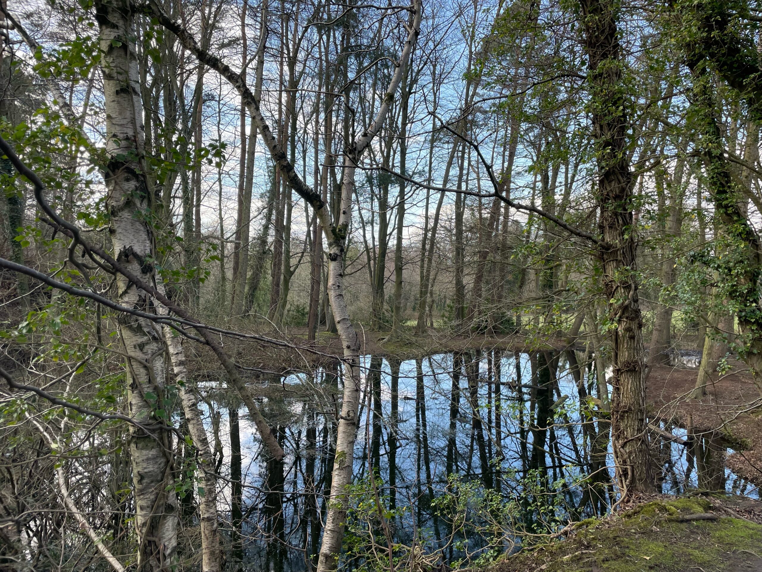 Caoilinn Hughes on deadlines and serendipity